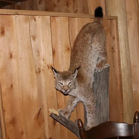 Peramaa Puhkekeskus *