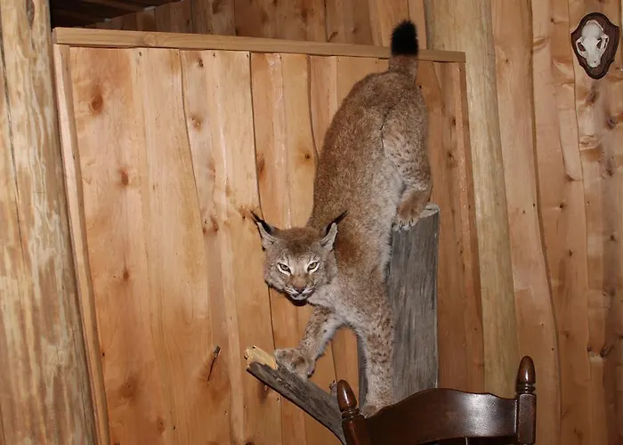 Peramaa Puhkekeskus *